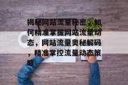揭秘网站流量秘密，如何精准掌握网站流量动态，网站流量奥秘解码，精准掌控流量动态策略
