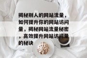 揭秘别人的网站流量，如何提升你的网站访问量，揭秘网站流量秘密，高效提升网站访问量的秘诀