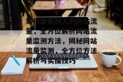 如何查看别人的网站流量，全方位解析网站流量监测方法，揭秘网站流量监测，全方位方法解析与实操技巧