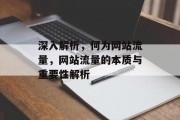 深入解析，何为网站流量，网站流量的本质与重要性解析
