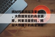 揭秘阿里网站流量统计，大数据背后的商业洞察，阿里流量密码，揭秘大数据下的商业洞察