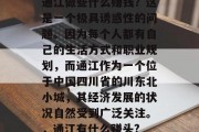 通江做些什么赚钱？这是一个极具诱惑性的问题。因为每个人都有自己的生活方式和职业规划，而通江作为一个位于中国四川省的川东北小城，其经济发展的状况自然受到广泛关注。，通江有什么赚头?