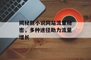 揭秘新小说网站流量秘密,多种途径助力流量增长 揭秘新小说网站流量秘密,多种途径助力流量增长