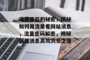 流量背后的秘密，揭秘如何用流量看网站消息，流量密码解密，揭秘网站消息高效浏览之道
