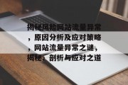 揭秘风险网站流量异常，原因分析及应对策略，网站流量异常之谜，揭秘、剖析与应对之道