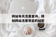 网站每天流量查询,揭秘网站流量背后的秘密 网站每天流量查询,揭秘网站流量背后的秘密