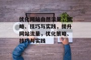 优化网站自然流量，策略、技巧与实践，提升网站流量，优化策略、技巧与实践