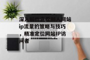 深入解析查看别人网站ip流量的策略与技巧,精准定位网站IP访问者 深入解析查看别人网站ip流量的策略与技巧,精准定位网站IP访问者