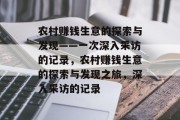 农村赚钱生意的探索与发现——一次深入采访的记录，农村赚钱生意的探索与发现之旅，深入采访的记录