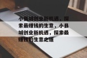 小县城创业新机遇,探索最赚钱的生意,小县城创业新机遇,探索最赚钱的生意之道