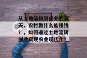 从土地流转到创业的春天，农村做什么能赚钱？，如何通过土地流转创业实现农业现代化？