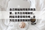 自己网站如何有效跑流量，全方位攻略解析，网站流量倍增攻略，全方位流量获取解析