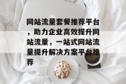 网站流量套餐推荐平台，助力企业高效提升网站流量，一站式网站流量提升解决方案平台推荐