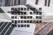 网站流量日志分析，挖掘数据宝藏，助力企业增长，数据洞察，网站流量日志分析助力企业增长宝藏挖掘