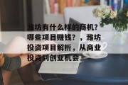 潍坊有什么样的商机?哪些项目赚钱?,潍坊投资项目解析,从商业投资到创业机会 潍坊有什么样的商机?哪些项目赚钱?,潍坊投资项目解析,从商业投资到创业机会