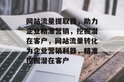 网站流量提取器，助力企业精准营销，挖掘潜在客户，网站流量转化为企业营销利器，精准挖掘潜在客户