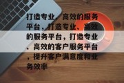 打造专业、高效的服务平台，打造专业、高效的服务平台，打造专业、高效的客户服务平台，提升客户满意度和业务效率