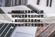 网站实时流量解析，揭秘网站流量背后的秘密，解码网站流量奥秘，实时解析揭示流量秘密