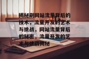 揭秘刷网站流量背后的技术，流量开发的艺术与挑战，网站流量背后的秘密，流量开发的艺术与挑战揭秘
