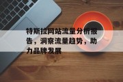 特斯拉网站流量分析报告,洞察流量趋势,助力品牌发展 特斯拉网站流量分析报告,洞察流量趋势,助力品牌发展