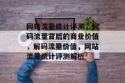 网站流量统计评测，解码流量背后的商业价值，解码流量价值，网站流量统计评测解析