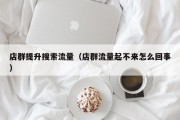 店群提升搜索流量（店群流量起不来怎么回事）