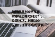 如何利用300元在理财市场上赚取利润?,投资技巧,利用300元进行理财市场的获利 如何利用300元在理财市场上赚取利润?,投资技巧,利用300元进行理财市场的获利