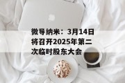 微导纳米：3月14日将召开2025年第二次临时股东大会