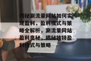 揭秘涮流量网站如何实现盈利，盈利模式与策略全解析，涮流量网站盈利奥秘，揭秘独特盈利模式与策略