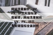 网站流量解析，UV、PV、IP三大指标深度解读，网站流量解析，UV、PV、IP三大关键指标全面剖析