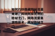 如何巧妙隐藏网站流量来源，揭秘网络世界的隐秘之门，网络流量来源隐蔽术，揭秘隐秘之门