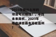 2023年做什么样的项目可以赚钱?,寻找未来商机,2023年哪些项目最有可能盈利? 2023年做什么样的项目可以赚钱?,寻找未来商机,2023年哪些项目最有可能盈利?