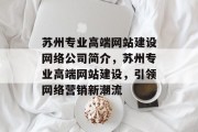 苏州专业高端网站建设网络公司简介，苏州专业高端网站建设，引领网络营销新潮流