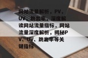 网站流量解析，PV，UV，跳出率，深度解读网站流量指标，网站流量深度解析，揭秘PV、UV、跳出率等关键指标
