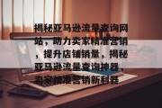 揭秘亚马逊流量查询网站，助力卖家精准营销，提升店铺销量，揭秘亚马逊流量查询神器，卖家精准营销新利器