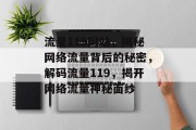 流量119网站，揭秘网络流量背后的秘密，解码流量119，揭开网络流量神秘面纱