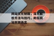 网站优化秘籍,深入解析方法与技巧,助你网站脱颖而出 网站优化秘籍,深入解析方法与技巧,助你网站脱颖而出