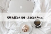 龙族流量怎么提升（龙族怎么升人口）