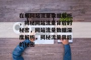 在线网站流量数据解析，揭秘网站流量背后的秘密，网站流量数据深度解析，揭秘流量背后的秘密