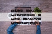 网站流量，揭秘其对网站发展的深远影响，网站流量，揭秘其决定网站发展命运的关键因素