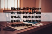 揭秘网站流量免费的秘密，如何低成本吸引海量访客，揭秘低成本流量秘籍，轻松吸引海量访客的免费策略