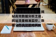 网站流量精准查看，揭秘高效数据分析之道，网站流量精准监控，数据分析高效策略揭秘