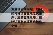 流量转化成网站，揭秘如何将访客变成忠实用户，流量变现攻略，揭秘访客到忠实用户转化之道
