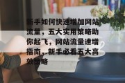 新手如何快速增加网站流量，五大实用策略助你起飞，网站流量速增指南，新手必看五大高效策略