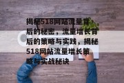 揭秘518网站流量背后的秘密，流量增长背后的策略与实践，揭秘518网站流量增长策略与实战秘诀