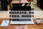 网站无访问流量，揭秘原因及解决方案，网站流量低迷，揭秘根源与突破之道