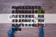 揭秘网络营销新趋势，直接购买网站流量，助力企业快速崛起，网络流量直购新纪元，揭秘助力企业快速崛起的营销策略