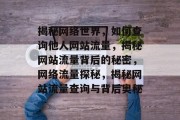 揭秘网络世界，如何查询他人网站流量，揭秘网站流量背后的秘密，网络流量探秘，揭秘网站流量查询与背后奥秘