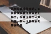 揭秘抖音流量网站，如何看懂抖音流量背后的秘密，抖音流量密码大揭秘，解码流量背后的神秘力量