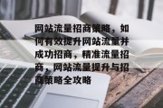 网站流量招商策略，如何有效提升网站流量并成功招商，精准流量招商，网站流量提升与招商策略全攻略